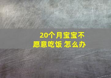 20个月宝宝不愿意吃饭 怎么办